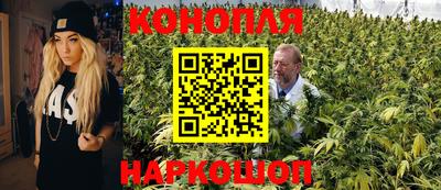 дурь Сланцы