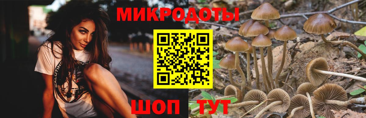 Галлюциногенные грибы ЛСД Ноябрьск